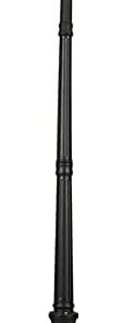 Outdoor Lamp Post Light for Garden and Backyard Lighting 2
