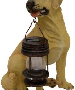 Yellow Labrador Dog with Lantern Solar Light – B5185A 2