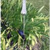 Solar Fairy String Lights 5pcs 200 LEDs Blue Indoor Outdoor 8 Modes 3