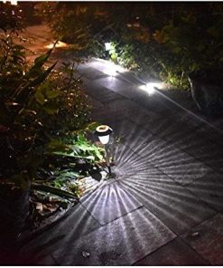 Stainless Steel Solar Ground Lights for Yard Lawn and Sidewalk 2