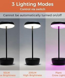 Cordless USB Solar Table Lamp 2-Pack for Outdoor Garden and Patio 2