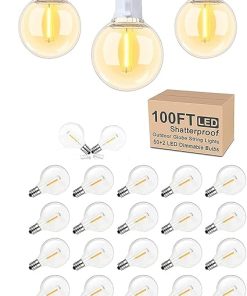 100FT LED Globe String Lights with 52 G40 Dimmable Bulbs and Replacements