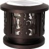 Purple Solar Lantern for Yard with Witch Theme Design 4