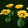 Stylish Black Solar Street Light with 3 Modes for Your Garden 4