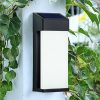 Outdoor Lamp Post Light for Gardens and Landscape Lighting 4