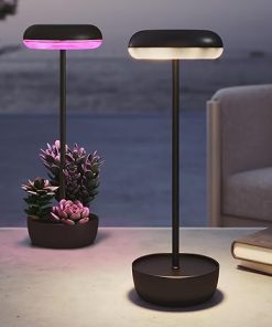 Cordless USB Solar Table Lamp 2-Pack for Outdoor Garden and Patio