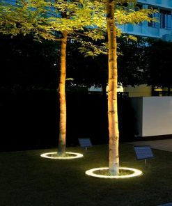 Solar Landscape Spotlights for Big Trees and Palm Trees Lighting 2