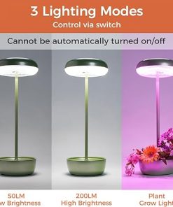 Cordless USB Solar Table Lamp for Outdoor Use with 3 Lighting Modes 2