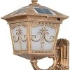 Brighten Your Garden with Dimmable LED Retro Solar Lights 3
