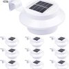 Solar Powered LED Outdoor Stake Lights Set for Gardens and Patios 3