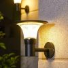 8 Pack Waterproof Solar Pathway Lights for Gardens and Walkways 4