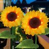 Outdoor Waterproof Solar String Lights 60LED for Christmas Decor 3