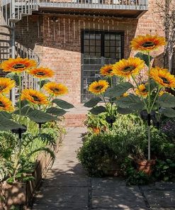Solar LED Sunflower Garden Lights Waterproof Automatic Charging Set 2