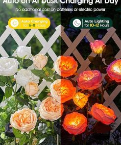 Brightown Solar Garden Lights – 4 Pack Rose Flowers for Outdoor Decor 2