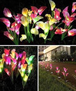 Solar Calla Lily LED Lights for Gardens and Patios Outdoor Decor 2