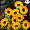 KOOPER Solar Outdoor Lights – 6 Pack Sunflower Decor with Auto On Off