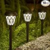 Solar Outdoor Decorative Lights for Garden Pathway and Yard