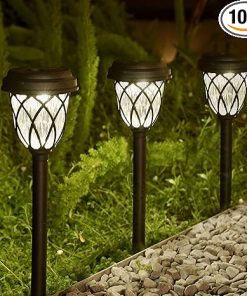 Solar Outdoor Decorative Lights for Garden Pathway and Yard