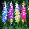 Christmas Solar Garden Light for Outdoor Waterproof Decoration 4