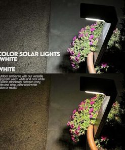 Solar Pathway Lights with Dual Modes for Garden and Walkway Decor 2