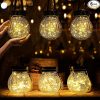 Cooo 6 Pack Solar Lantern with 30 LED Firefly Lights for Outdoors